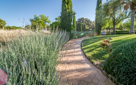 Landscaped gardens on different terraces