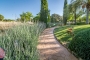 Landscaped gardens on different terraces