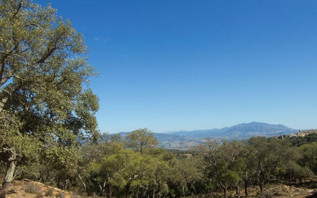 You are surrounded by gorgeous countryside