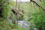 Walk to the river for wild swims in about 15 minutes