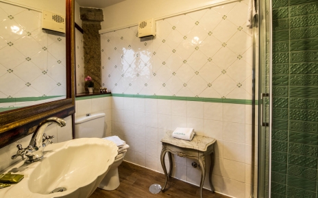Ensuite walk-in shower