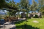 Pergola with views