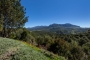 Su ubicación cerca de los pueblos de Gaucín y Casares