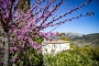 Su casa de lujo en la región de Antequera