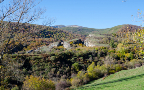 Views from your cottage