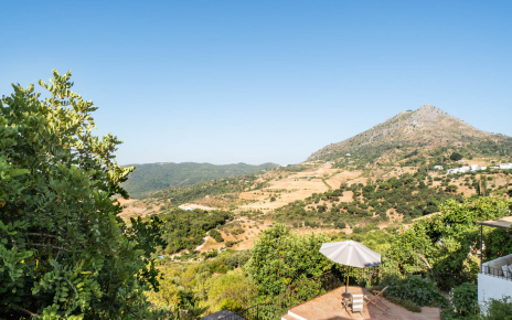 Views from second floor 