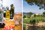 Organic olive oil making finca