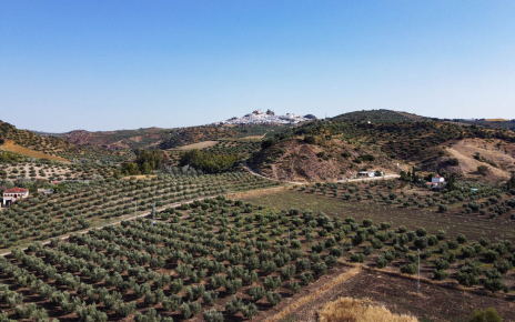 Open countryside close to village