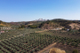 En pleno campo pero cerca de un pueblo