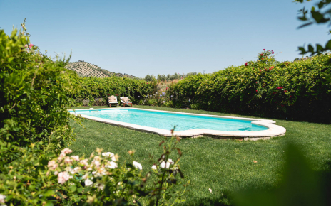 Pool surrounded by bushes and shrubs
