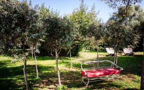 Rincones mágicos donde descansar