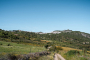 Track to Gaucin village (visible in the distance)