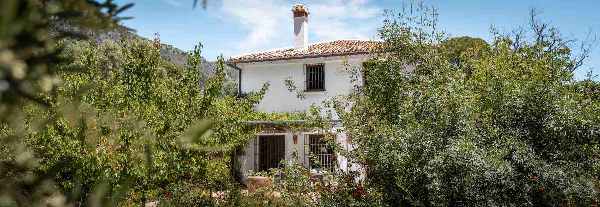 Spacious rural cottage with terraces in stunning protected natural parkland