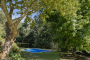 Pool with gardens and pergola