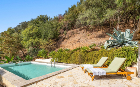 Two sunloungers available