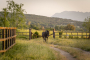 Normalmente hay un caballo en esta extensa finca