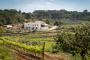 Lovely setting surrounded by vineyards