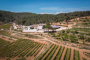 Una gran finca productiva