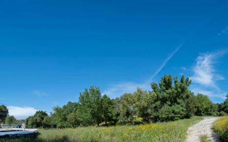 The estate in Spring