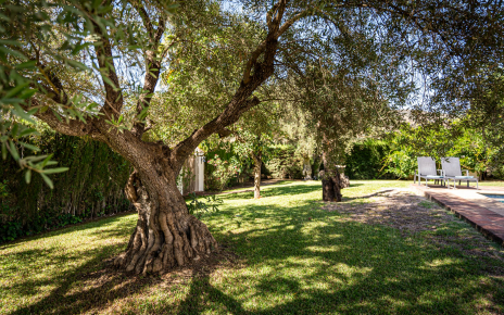 Ample gardens