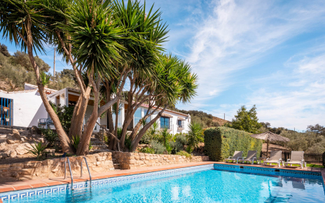 Pool, terraces, gardens and villa at a glance