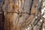 El Chorro gorge is 30 minutes away