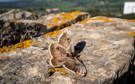 Amazing enclave for nature lovers