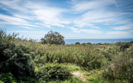 Walk to the beach (15 mins by foot)