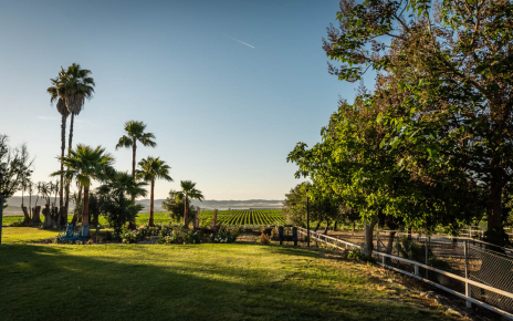 Front gardens are also stunning in the late afternoon
