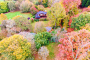 Your holiday cabin seen from a drone in Autumn