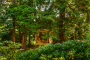 Reading room / cabin in the forest