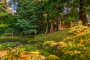 Reading cabin by one of the ponds