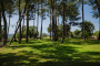 Ample gardens with pine trees