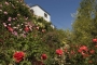 Property seen from below (rose garden)