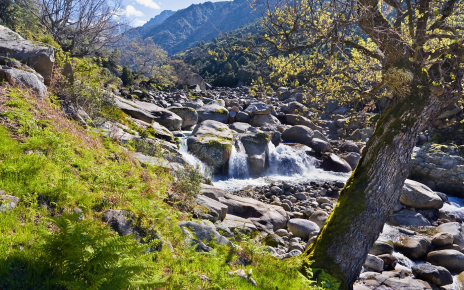 Your location: Gredos mountains