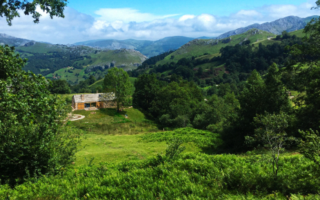 Your holiday cottage has 22.000 m2 of private grounds