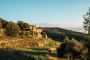 Private terraced fields below the house