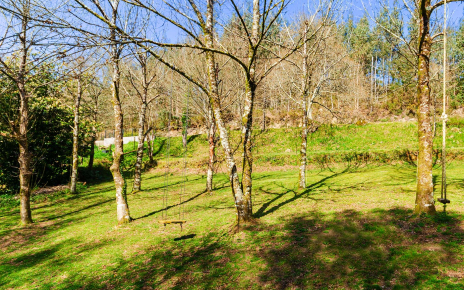 Swing and ample areas for games with shade in Summer