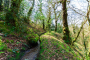 Irrigation channel across the estate