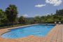 The pool area is surrounded by nature