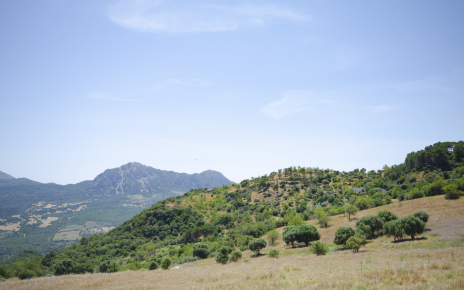 Your location in the distance with Sierra Crestellina as backdrop