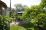 Barbecue area / terrace with parasol