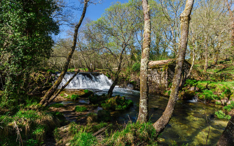 Paseos en la zona a lo largo de ríos y bosques