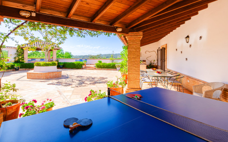 Table tennis by front patio / porch