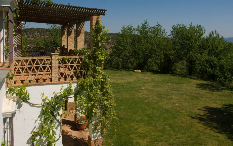 Terrace overlooking lawn