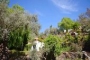 The cortijo is ensconced amongst rich foliage