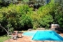 Private swimming pool and orange trees