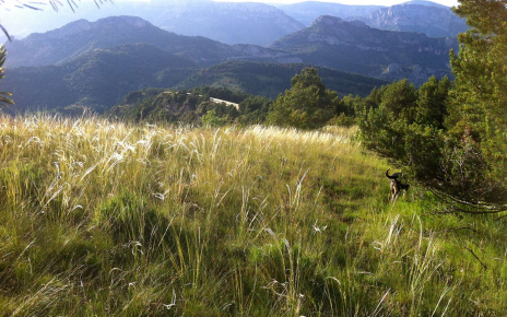 The property is set in a large finca