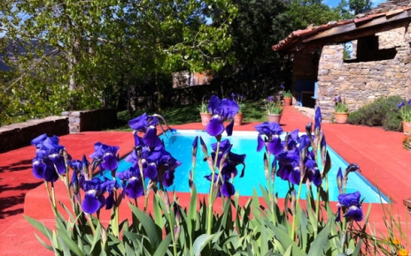 Late Spring 2014 at the villa