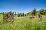 Campos alrededor de la propiedad en primavera